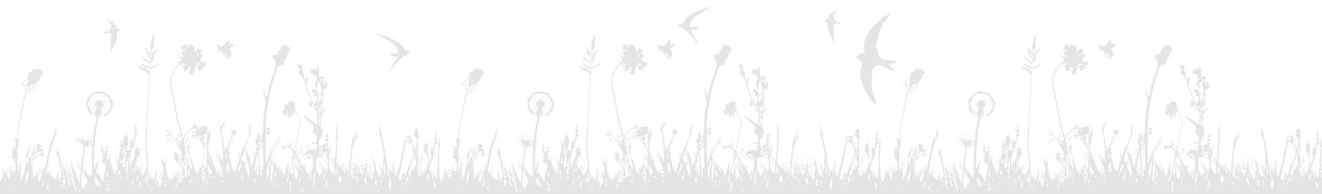 footer-open-spaces