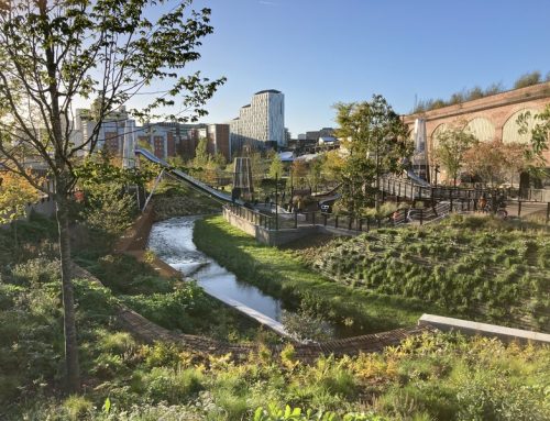 Green Infrastructure: creating habitable towns and cities fit for the future