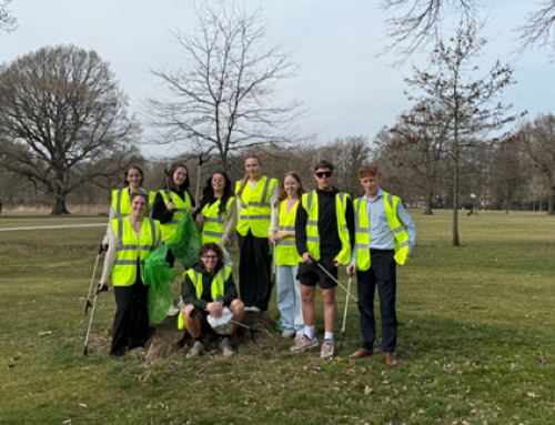 Litter Pick for Earth Day!