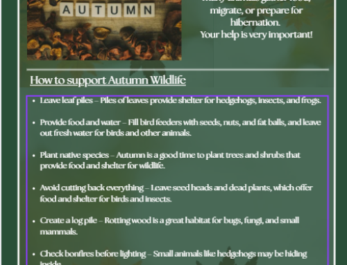 English Estates Autumn Factsheet Care!